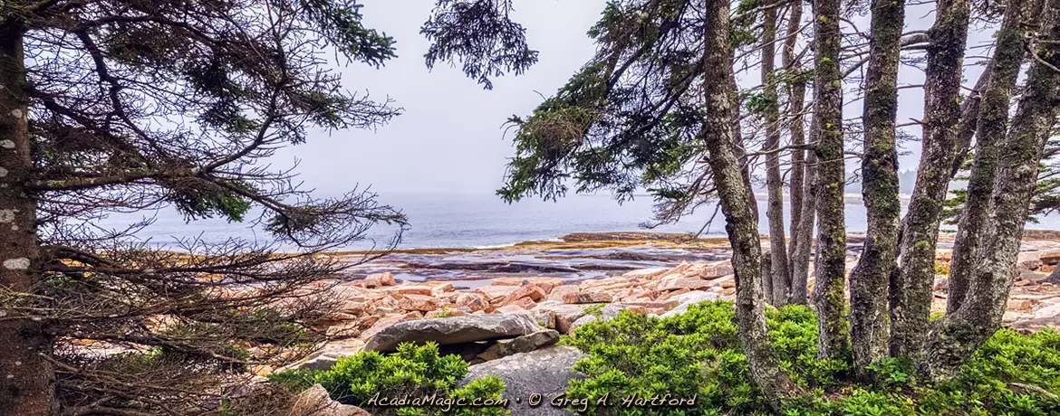 Ocean view from Wonderland Trail in Acadia