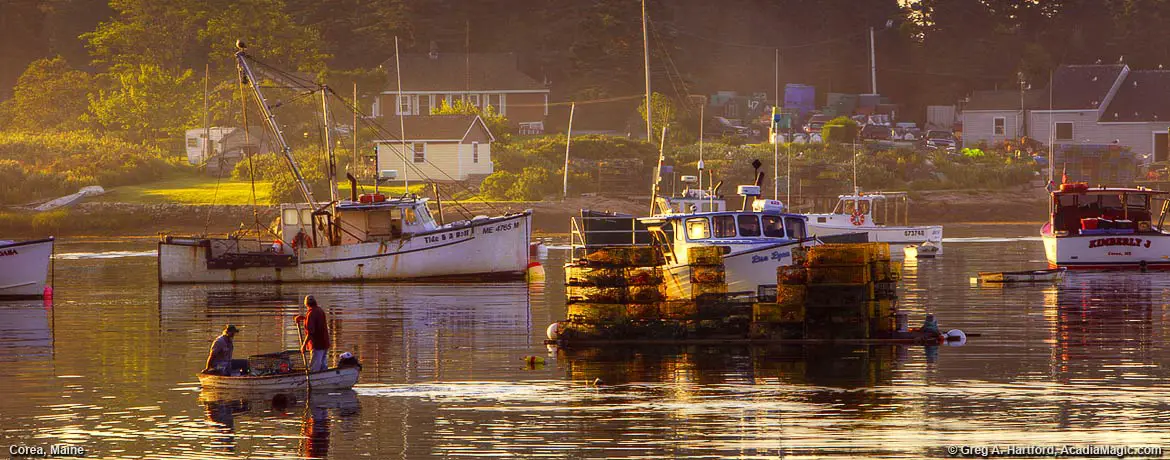 Lobstermen row to their lobster boat