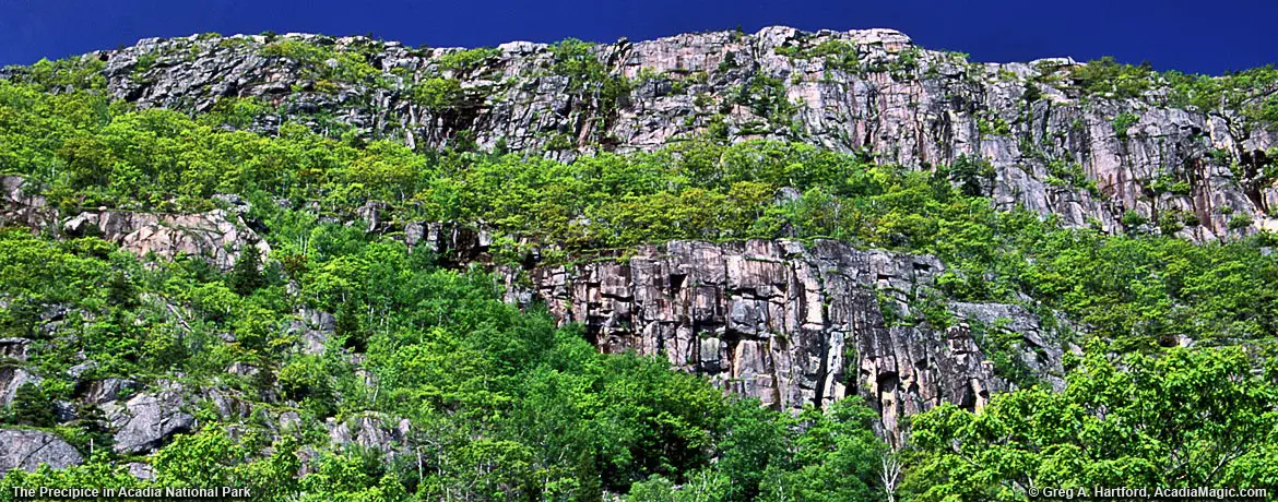 The Precipice in Acadia National Park, Bar Harbor, Maine