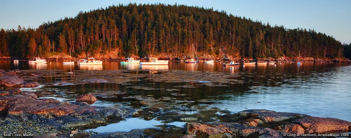 Lobster boats and yachts in sunset glow