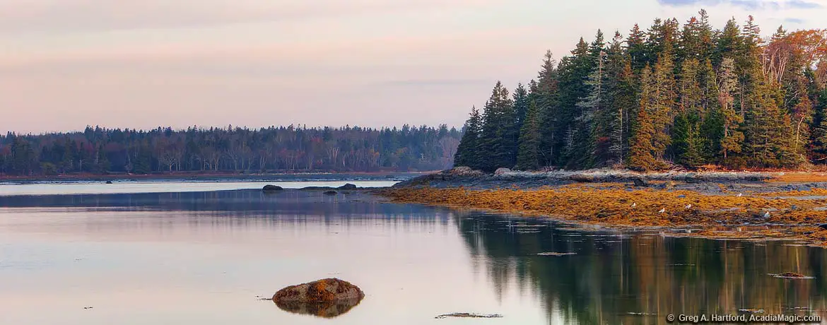 Trenton Shoreline in Western Bay