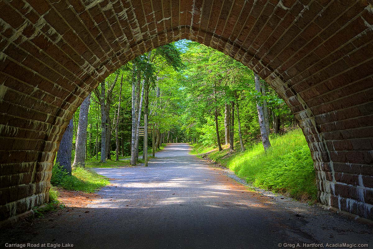 Carriage Road and Bridge in Acadia National Park