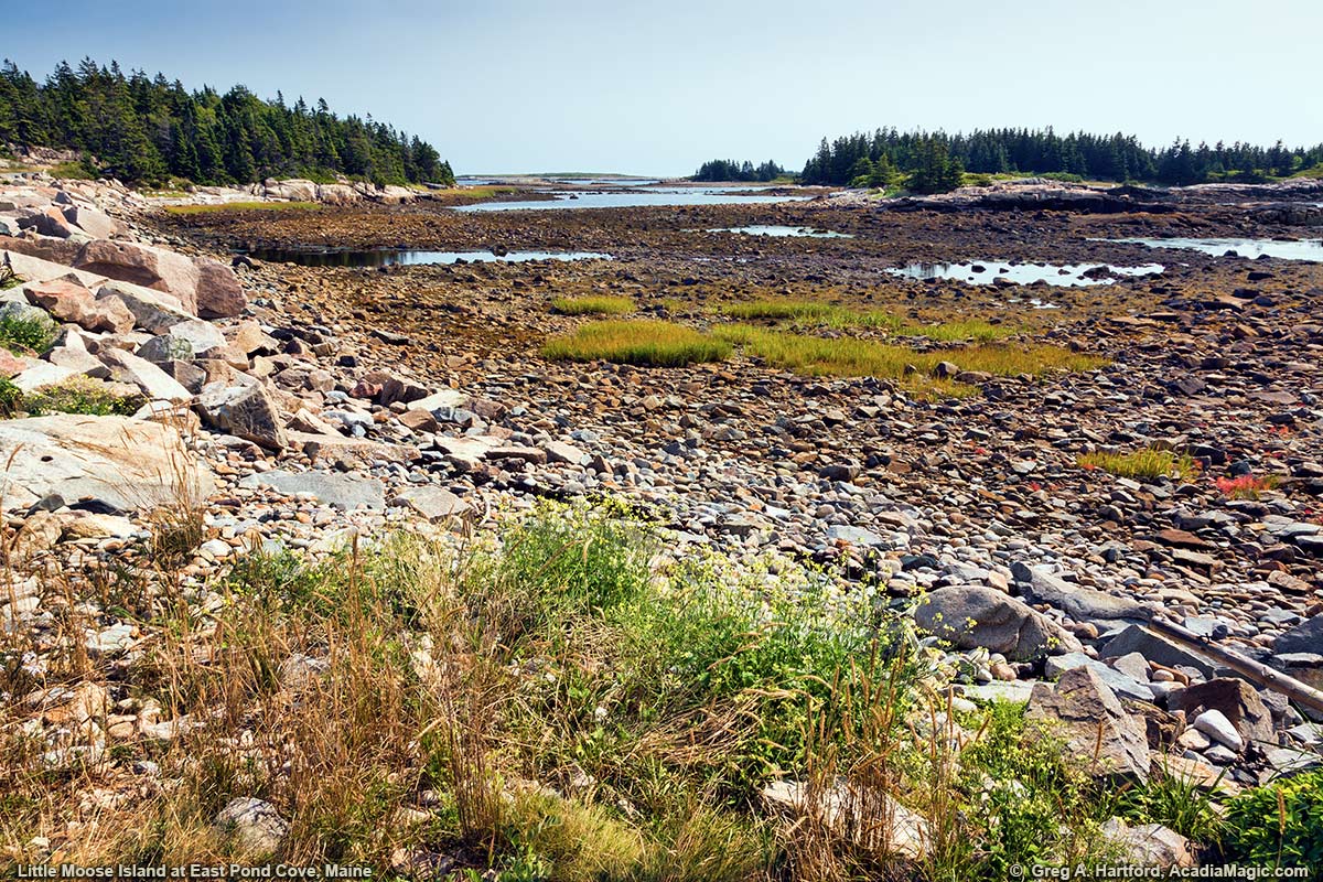 Little Moose Island at East Pond Cove