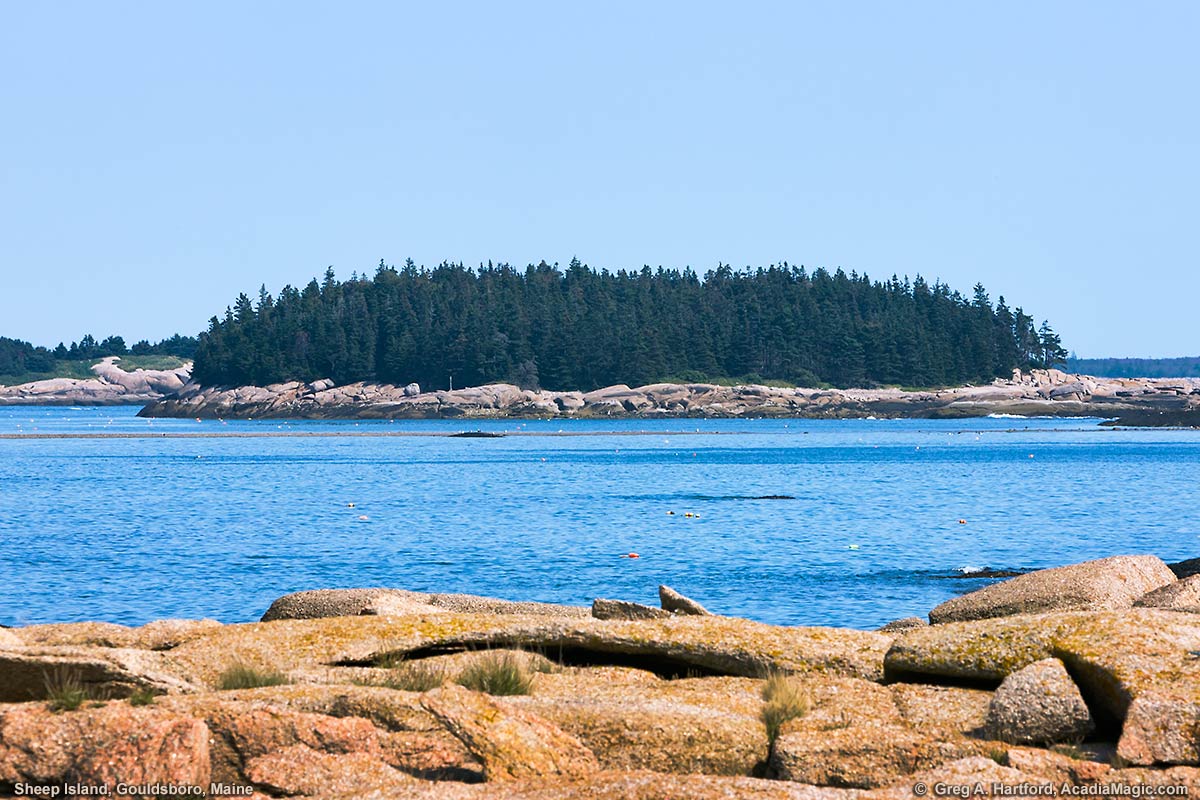 Privately owned Sheep Island in Gouldsboro, Maine