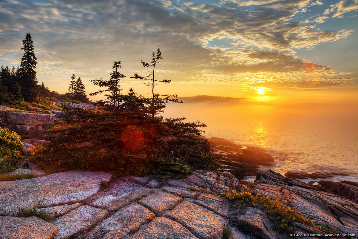 Golden Acadia Sunrise over the ocean near Sand Beach