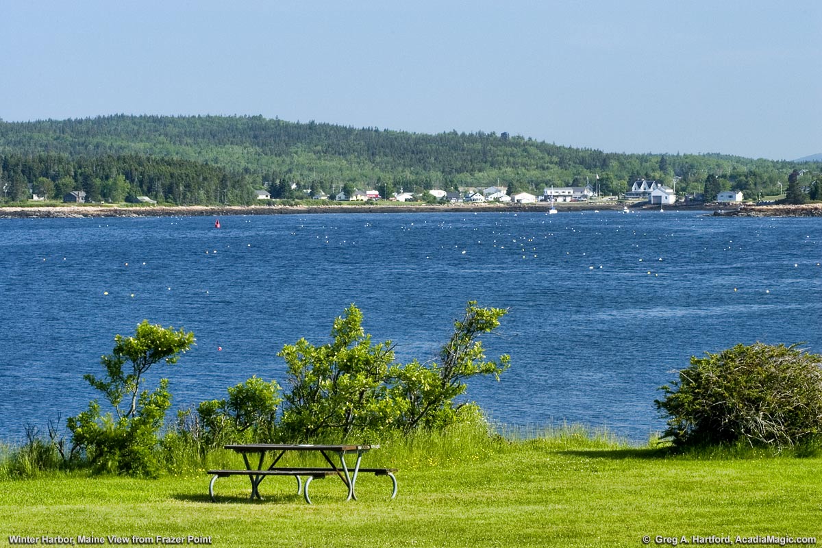 Winter Harbor can be seen from Frazer Point in Acadia National Park, Maine.