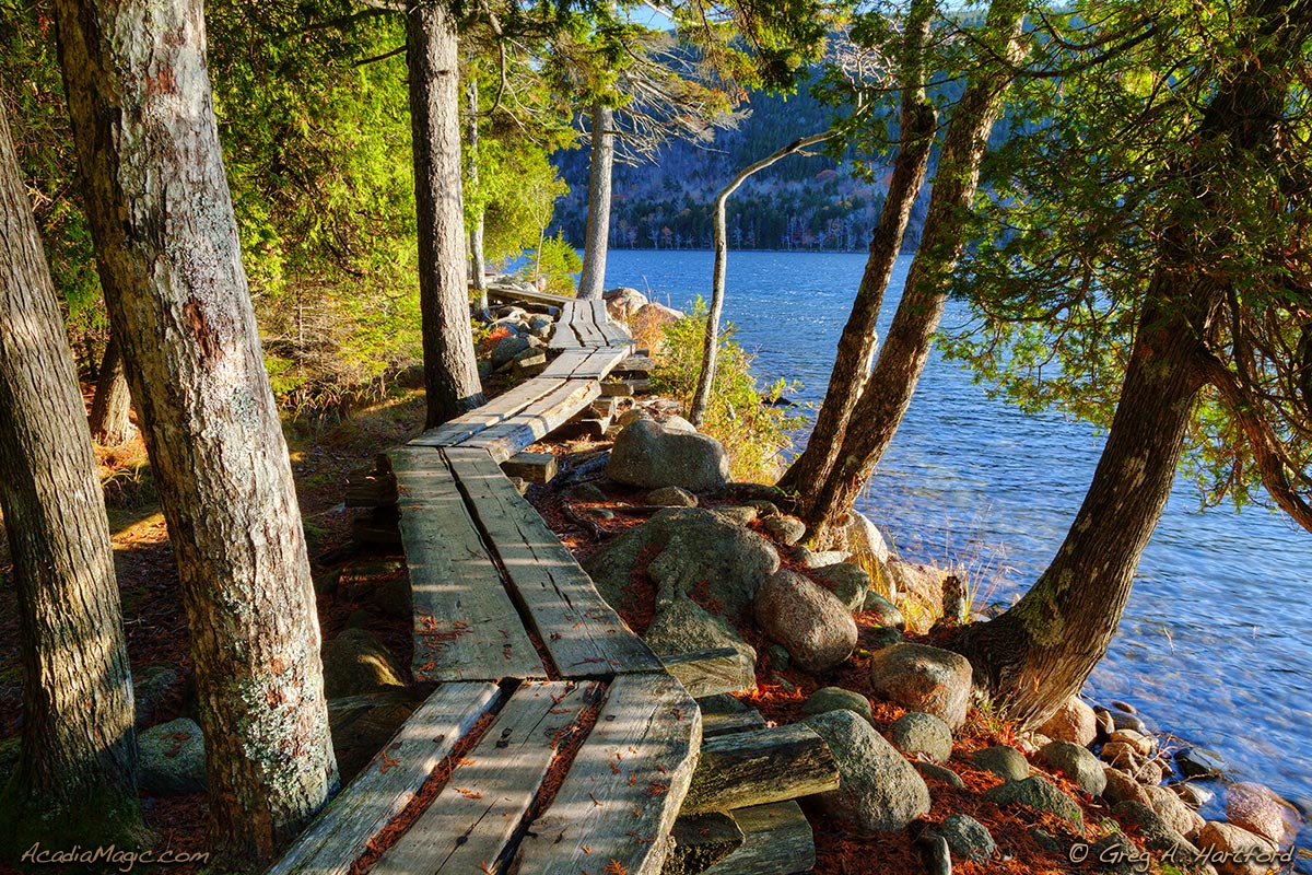 The Jordan Pond Shore Path