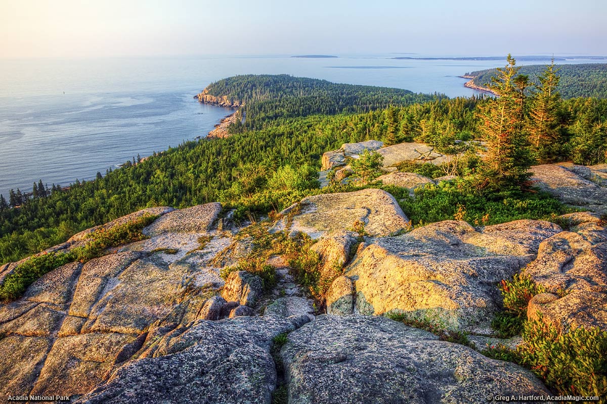 A view of Otter Cliff from Gorham Mountain in Acadia National Park