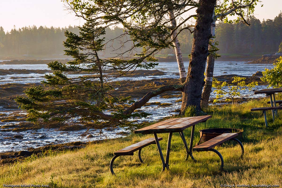 Thompson Island Picnic Area in Acadia National Park Maine - Photo 3