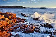 Weddings in Acadia and Bar Harbor, Maine