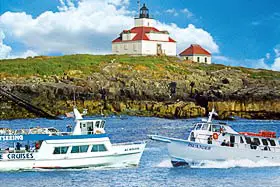 Acadian Boat Tours