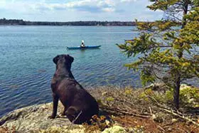 Bar Harbor Acadia Cottage Rentals