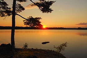 Great Pond Cabins View