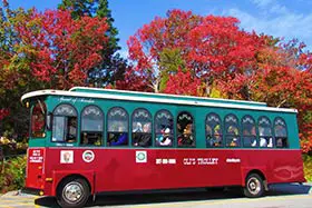 Oli's Trolley Tours