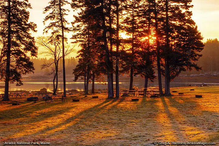 Autumn Sunrise at Picnic Area