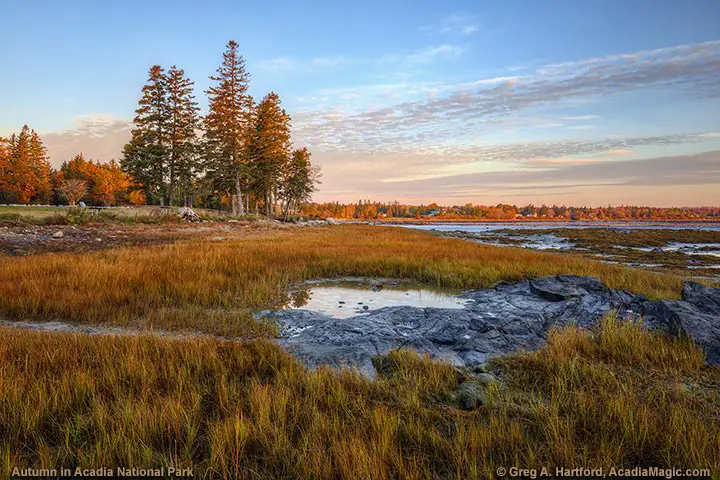 Thompson Island Picnic Area