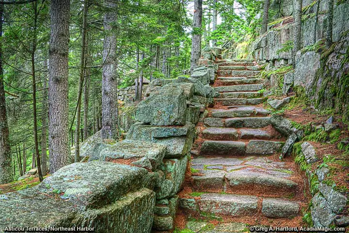 This shows the section of steps that are next to some steep cliffs and lots of evergreen trees.