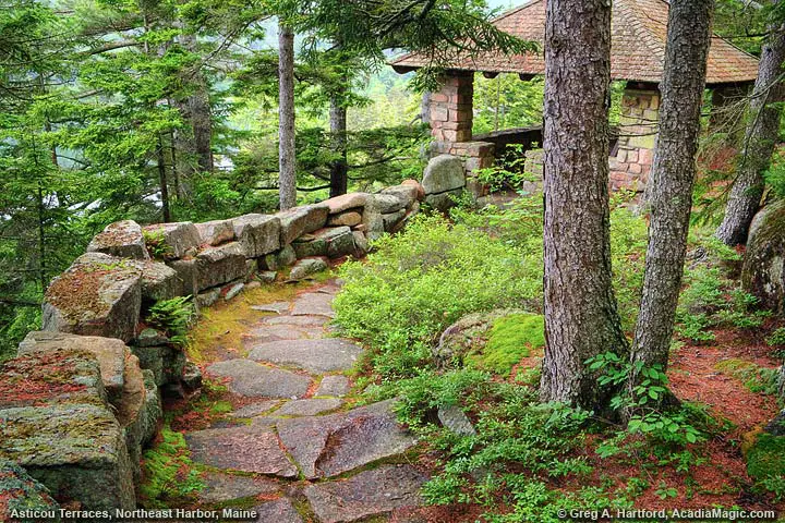 Asticou Terraces Observation Hut