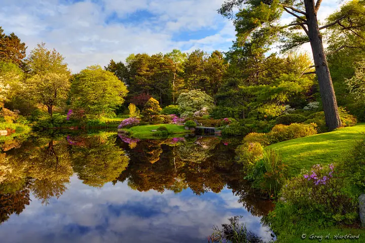 Asticou Azalea Garden