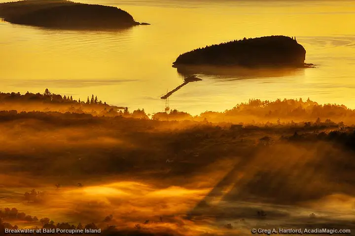 Bald Porcupine Island