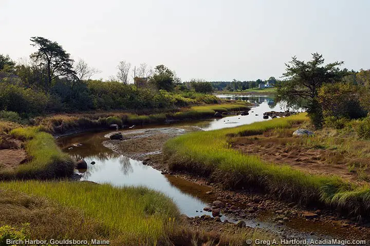 Birch Harbor in Gouldsboro, Maine