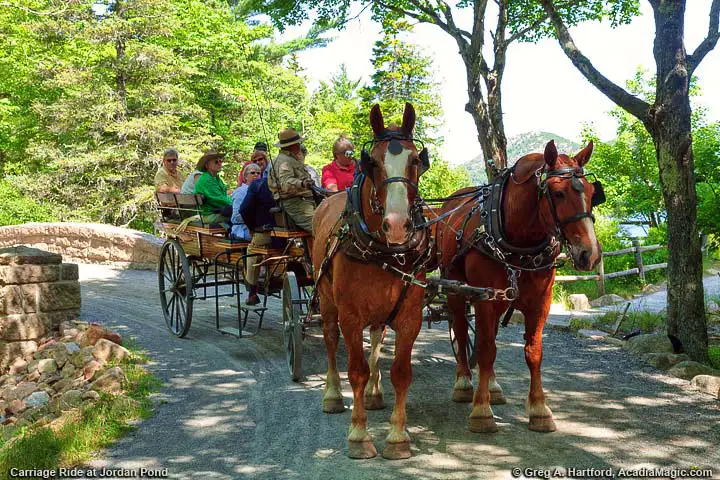 Carriage Road at Jordan Pond in Acadia National Park