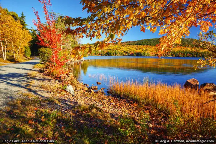 Carriage Road at Eagle lake in Bar Harbor, Maine