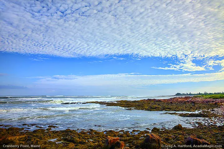 Cranberry Point