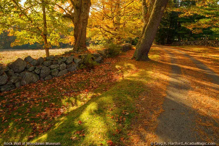 Rock Wall, Leaves and Autumn Road