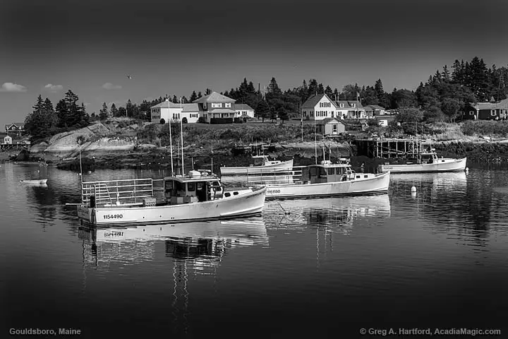 Gouldsboro, Maine black and white