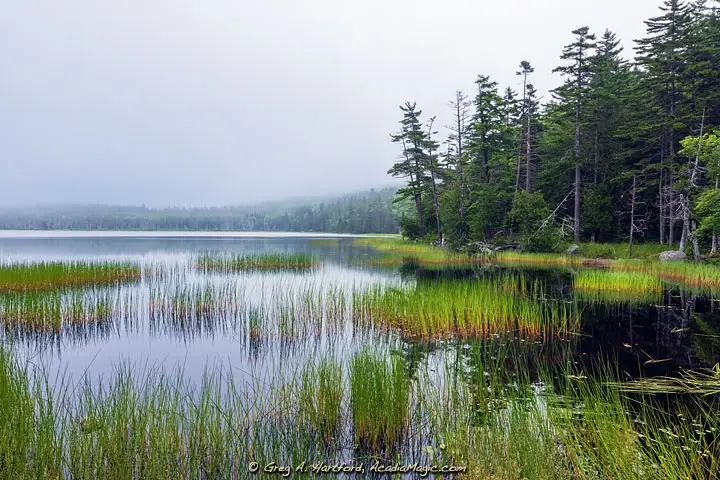 Upper Hadlock Pond in Northeast Harbor, Maine