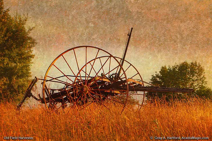 Antique Field Harvester