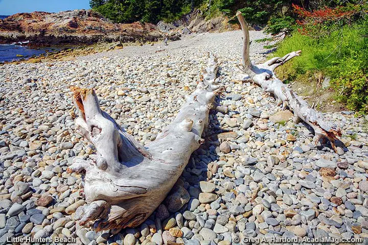 Driftwood on Little Hunters Beach