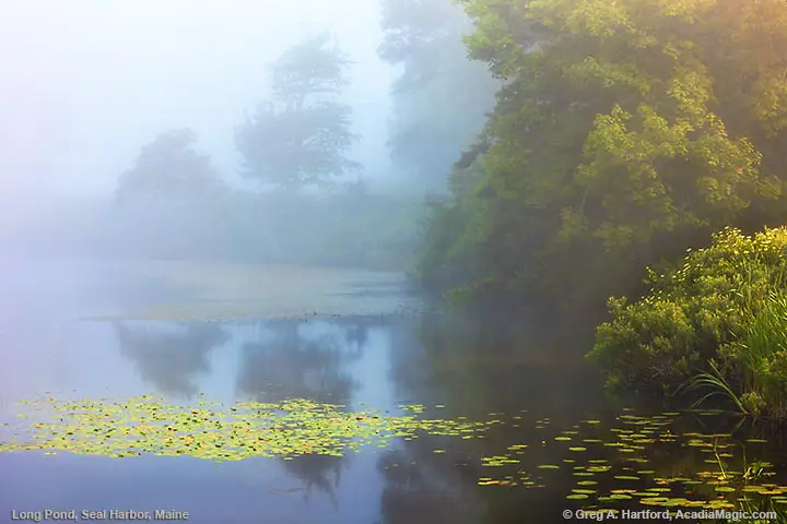 Foggy morning at Little Long Pond