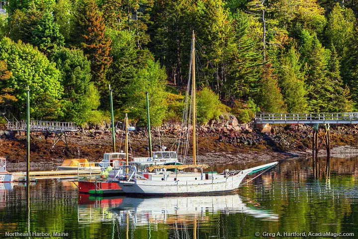 Yachts in the harbor
