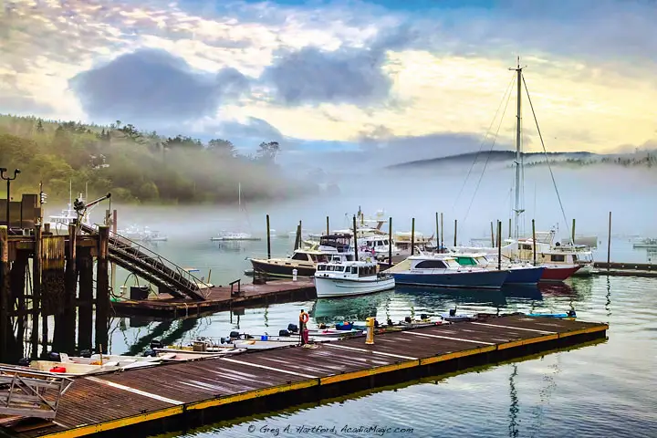 Harbor scene in Northeast Harbor, Maine