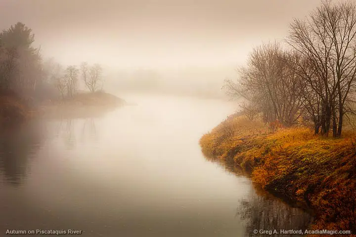 Piscataquis River in fog