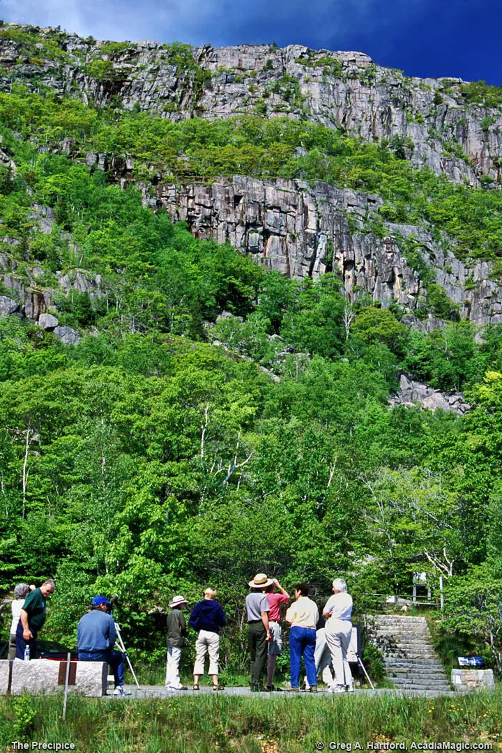 The precipice in Acadia National Park, Maine