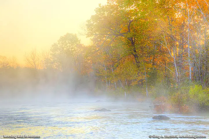Golden Sunrise on Sebec River