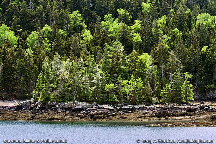Preble Island seen from Sorrento, Maine