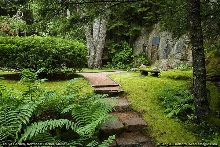 Thuya Garden in Northeast Harbor
