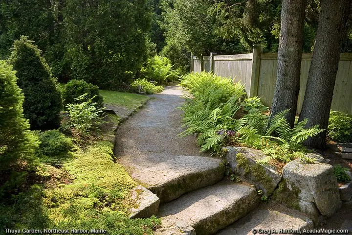Thuya Garden Pathway leading to the Charles K. Savage Memorial in Thuya Garden