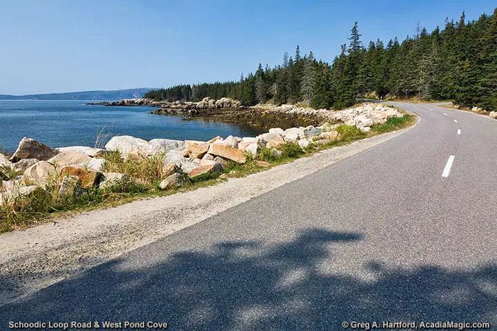 West Pond Cove next to Schoodic Loop Road