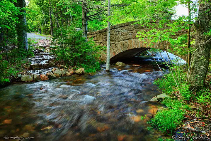 Carriage Road and Bridge at Jordan Pond