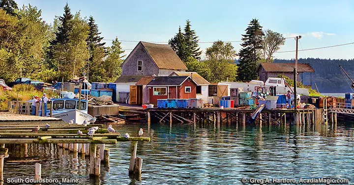 Fishing Operation in Bunkers Harbor, South Gouldsboro