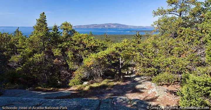 The summit of Schoodic Head in Acadia