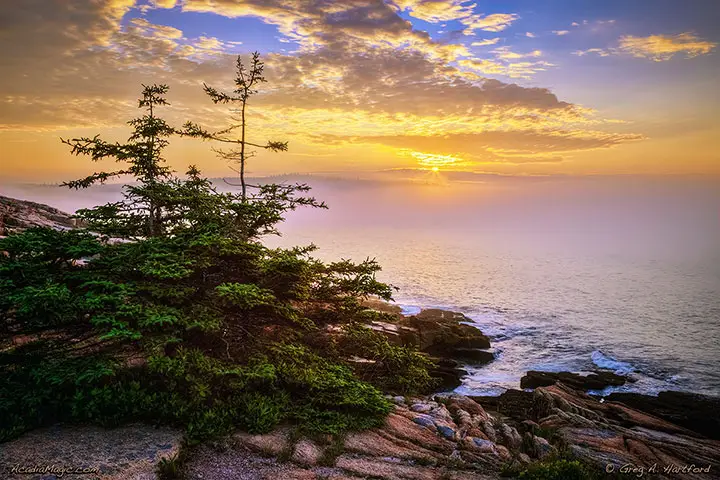 Gorgeous Acadia Sunrise