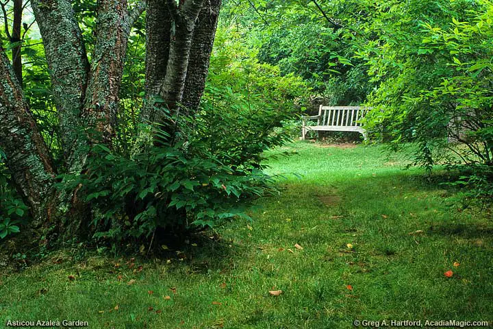A bench awaits the next visitor.