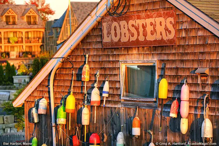 Lobster buoys in Bar Harbor