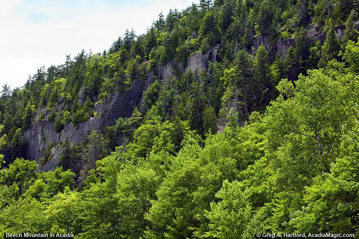 View of Beech Mountain Cliffs at Echo Lake